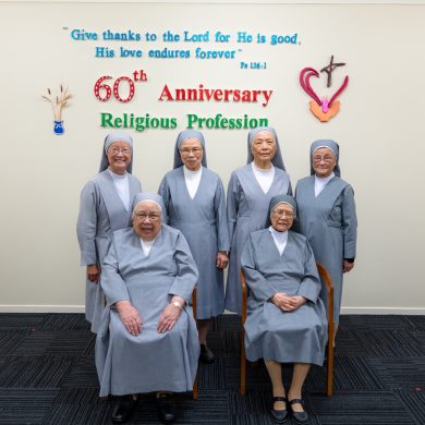 Sisters of St Paul de Chartres